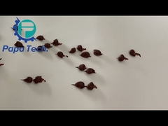 Large scale 400mm industrial chocolate enrobing coating line/industrial enrober machine