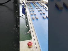 Papa High Speed Multi Line-Protein-Dattelriegel-Extruder-Maschine