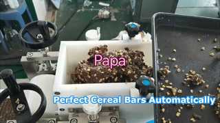 Papa Small P320 Cereal Energy Datteln Riegelformmaschine mit Riegeltrennsystem